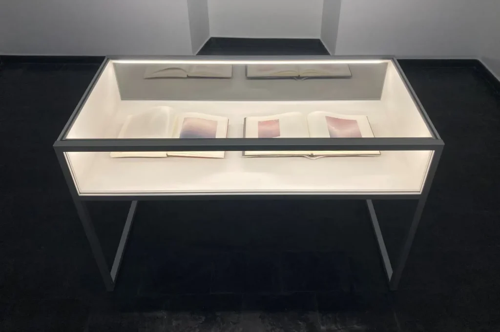 Expositor aluminio web