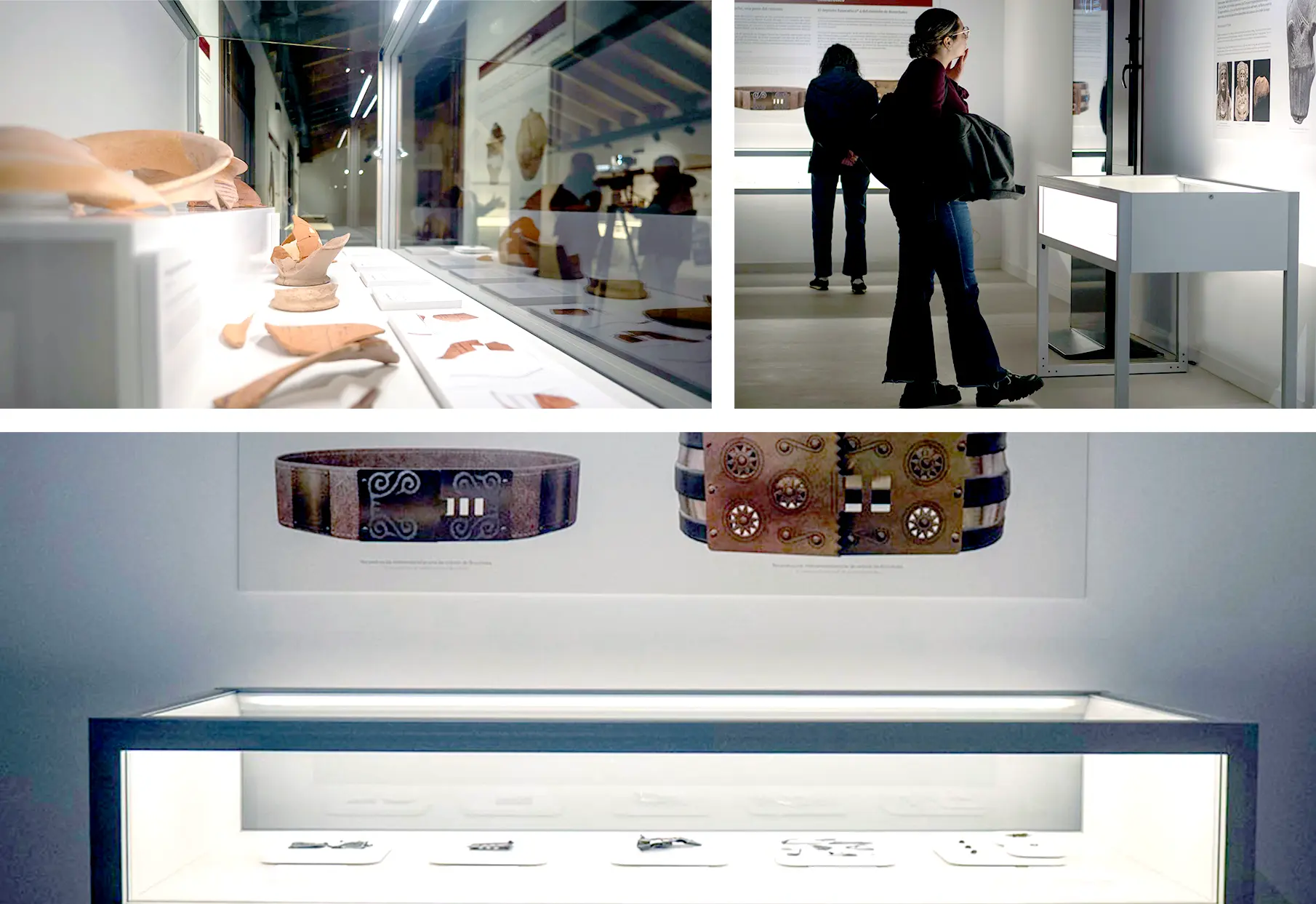 Vitrinas para museos