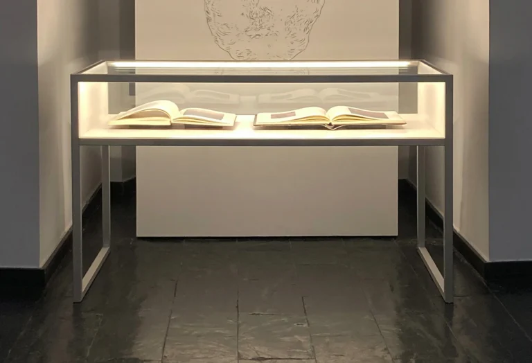 Vitrina de aluminio para exposición de objetos culturales en museo